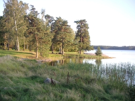Základem úspěchu je ve Växjö náhrada fosilních paliv biomasou.