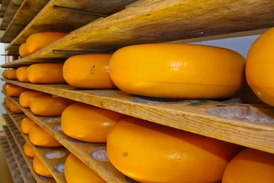Gouda patří mezi nejvíce kupované sýry v Česku (ilustrační foto).