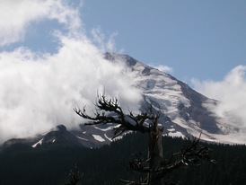 Když budete mít cestu poblíž, nezapomeňte se k Mount Hood vypravit. Je impozantní.