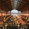 Gare du Nord, Paříž, Fancie. (Foto: Shutterstock.com/