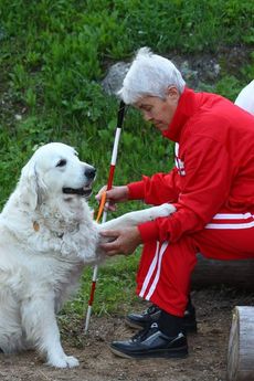 Pes je pro některé hluchoslepé nenahraditelným pomocníkem. Povšimněte si také červenobílé hole, která je pro takto hendikepované jedince typická.