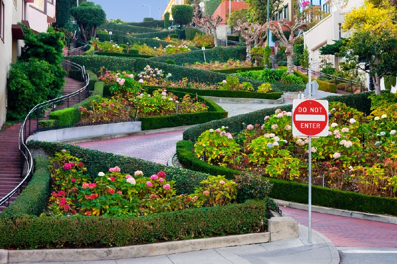 Lombard Street, San Francisco, Kalifornie. (Foto: Shutterstock.com)
