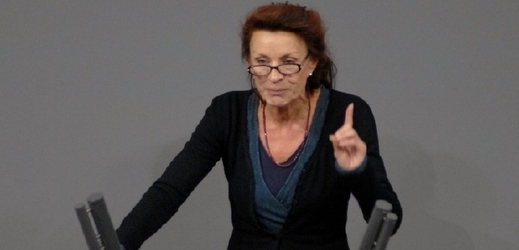 Ulla Jeplkeová požaduje jednotný přístup ke sporným SPZ.