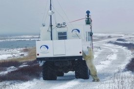 Street View snímky byly nasnímány v kanadské tundře Churchill, která je domovem největší populace ledních medvědů na Zemi.