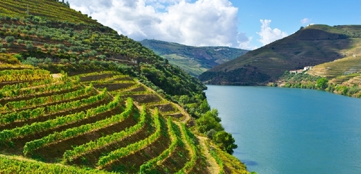 Údolí Douro, Portugalsko. (Foto: Shutterstock.com)