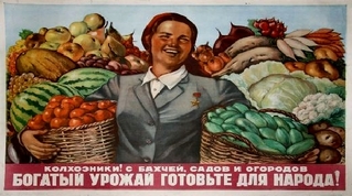 Ruští kolchozníci si bez kapitalistických brambor vystačí. 