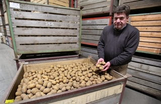 Němečtí zemědělci se sadbovými brambory pro Rusko.