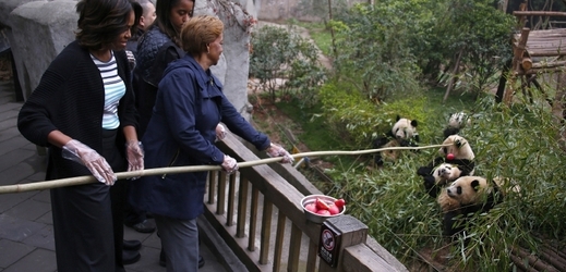 První dáma USA krmí pandí potvory Číně.