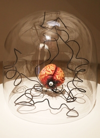 Artefakty Tima Burtona jsou na výstavě umístěny do velkých skleněných baněk.