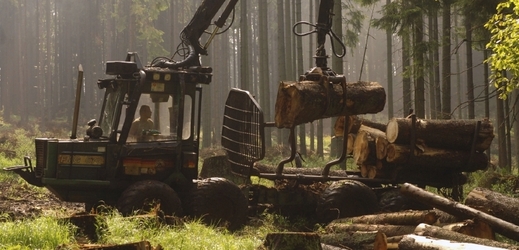 Lesy ČR se soudí s firmou CE WOOD o 3,72 miliardy korun (ilustrační foto).