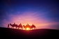 Velbloudí karavana. Možnost jak okusit tradiční cestování po poušti i si vyzkoušet, zda je cesta na "korábu pouště" tak romatická jako na filmovém plátně. (Foto: Shutterstock.com)