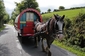 Cesta maringotkou. V poklidném tempu a za klapotu koňských kopyt můžete obdivovat krásy okolní přírody. Jízdu v tradičním voze Irskem nabízí například agentura Clissmann Horse Caravans. (Foto: Clissmanns Horse Caravans)