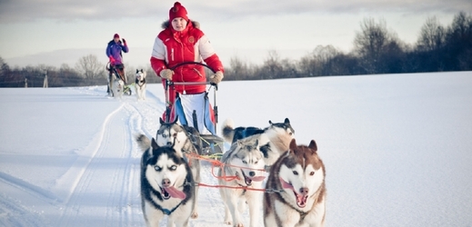 Psí spřežení. Cesta na saních tažených psy nabízí romantické i dobrodružné poznávání krajin kolem polárního kruhu. (Foto: Shutterstock.com)