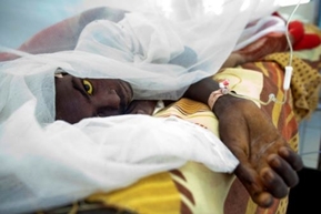 Úmrtnost na ebolu je 50 až 90 procent. 
