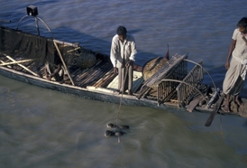 Bangladéšští rybáři při výcviku vydřích pomocníků.