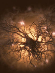 Takhle si astrocyt představuje umělec. Záblesky světla jsou vápenaté ionty, které buňka vylučuje.