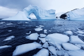 Zůstávají plejtváci v antarktických vodách i přes zimu?