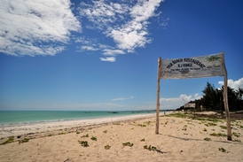Zanzibar láká turisty svými krásnými plážemi.