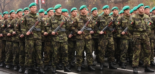 Českou armádu čeká hodnocení na summitu NATO.