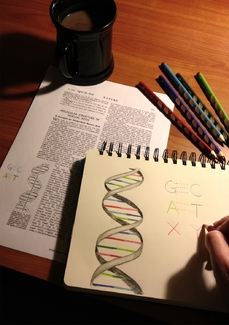 Strukturu DNA zveřejnili J. Watson a T. Crick v roce 1953.