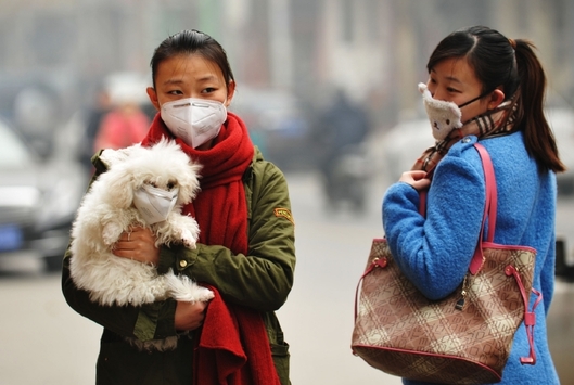 Maska proti znečištěnému vzduchu i pro chlupáče - Peking.