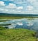 Jezero Nakuru, Keňa. (Foto: Shutterstock.com)