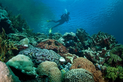 Palau, Mikronésie. (Foto: Shutterstock.com)