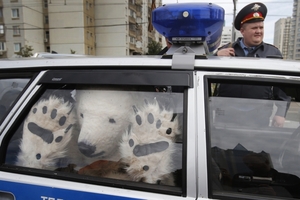 Zadržený lední medvěd z Greenpeace.