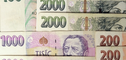 Náklady na eurovolby přesáhnou půl miliardy korun (ilustrační foto).