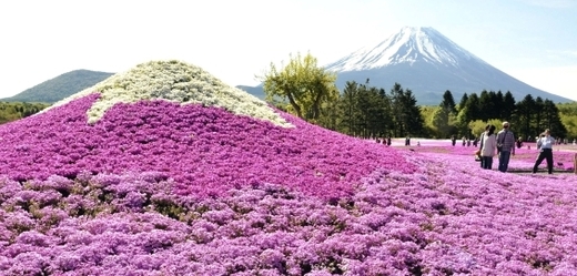 Japonci oslavují rok od zařazeni jejich nejvyšší hory Fudži na seznam světového dědictví UNESCO.