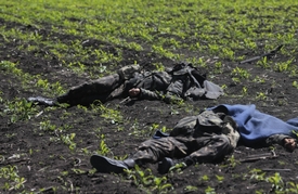 Důsledek bojů nedaleko vesnice Blahodatne na východě Ukrajiny.