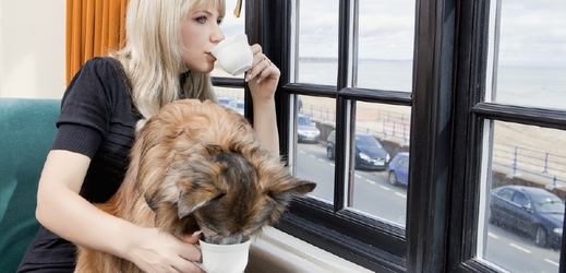 Psi si mohou dát šálek čaje se svými majiteli (ilustrační foto).