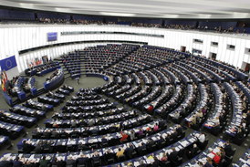 Evropský parlament je důležitá instituce.