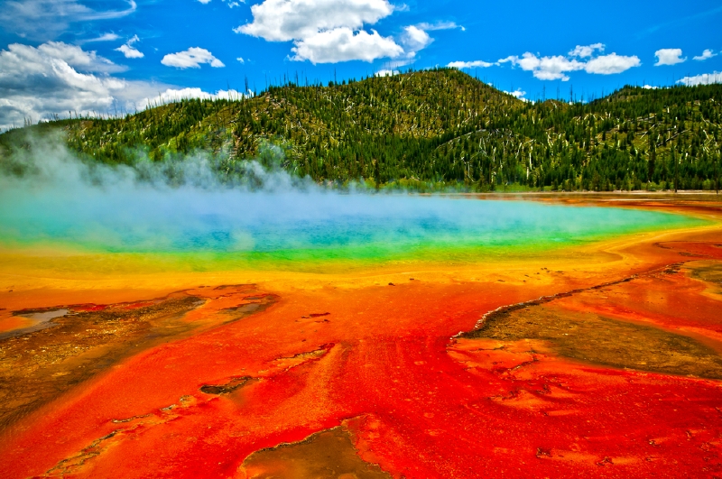 Yellowstone, Wyoming, USA. (Foto: Shutterstock.com)