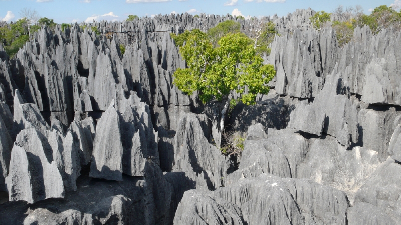 Tsingy de Bemaraha, Madagaskar. (Foto: Shutterstock.com)