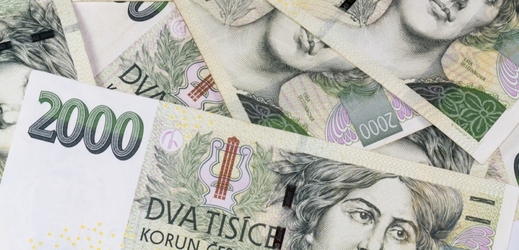 Česko dostane zhruba 73 milionů korun (ilustrační foto).