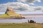 Lindisfarne, Velká Británie. (Foto: Shutterstock.com)