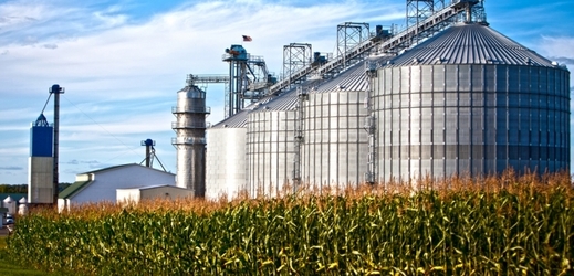 Tradiční biopaliva jsou vyráběna z potravinářských plodin. Například biopalivo z kukuřice má podle americké vlády pro globální oteplování horší následky než benzín (ilustrační foto).
