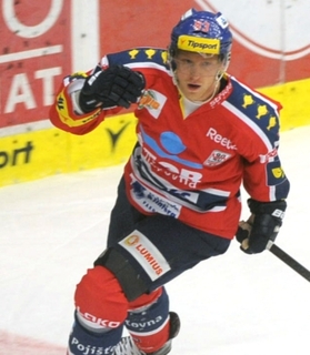 Aleš Hemský se s Ottawou nedohodl na prodloužení jeho působení v týmu.