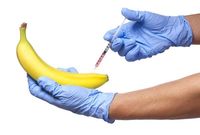 Můžou upravené banány pomoci lidem v rozvojových zemích, kterým chybí důležitý vitamín?