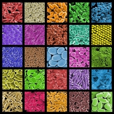 Moderní technologie umožňuje připravovat nanočástice mnoha různých typů.