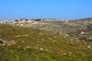 Battir, Palestina. Město je unikátní svým speciálním systémem zavlažovaní terasovitých polí. (Foto: Shutterstock.com)