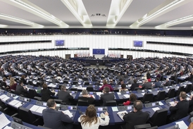 V Evropském parlamentu nyní existuje sedm politických skupin.
