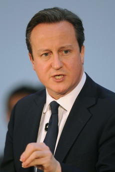 Cameron je podle Sikorského buď bezohledný, nebo nekompetentní.