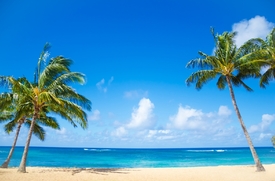Pláž s palmami je v první desítce nejnenáviděnějších fotek z dovolené.