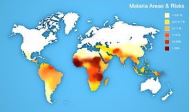 Na obrázku jsou oblasti, kde se malárie vyskytuje. Jedinou obranou proti nemoci je užívání antimalarik. Ta jsou však známá neblahými vedlejšími účinky.