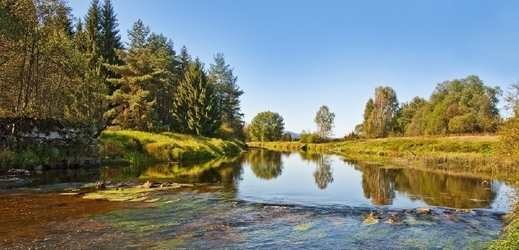 Národní park Šumava. (Foto: Shutterstock.com)