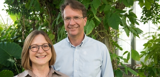 Heidi Appelová a Rex Cocroft z Missourijské univerzity zkusili přehrát oblíbené laboratorní rostlině huseníčku rolnímu zvuk chroustajícího hmyzu.