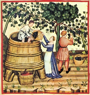 Víno tisíciletí z roku 1540.