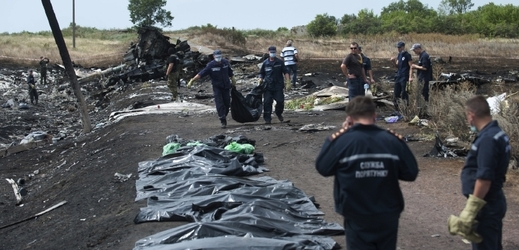 Fotografie z místa pádu malajsijského letadla na Ukrajině.